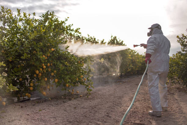 Best Affordable Pest Control Services  in Poseyville, IN