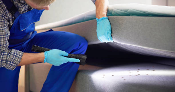 Best Local Pest Control Services  in Poseyville, IN