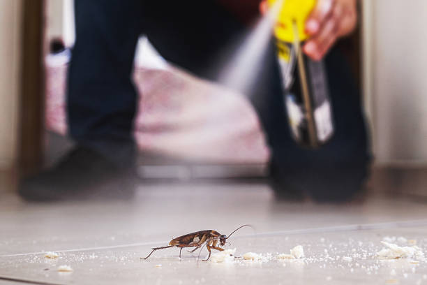 Best Cockroach Control Services  in Poseyville, IN