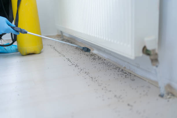 Best Wildlife Control Services  in Poseyville, IN