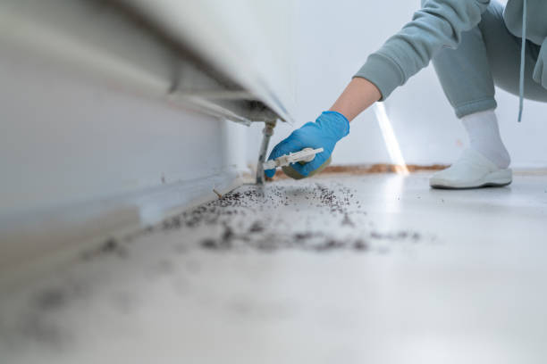 Professional Pest Control in Poseyville, IN